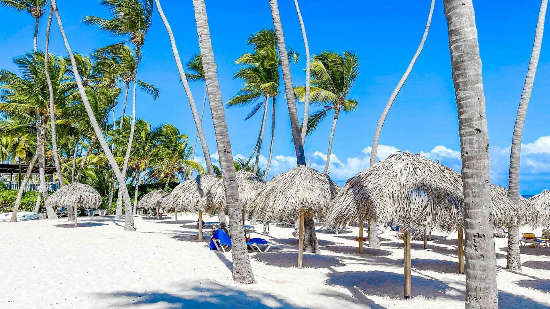 Caribbean Deluxe Ducassi Suites Studios Hotel Rooftop Pool Beach Club & Spa Punta Cana Dominican Republic